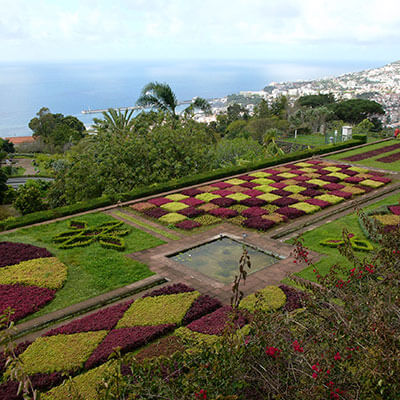 Tours Cruises Botanical garden, old zone