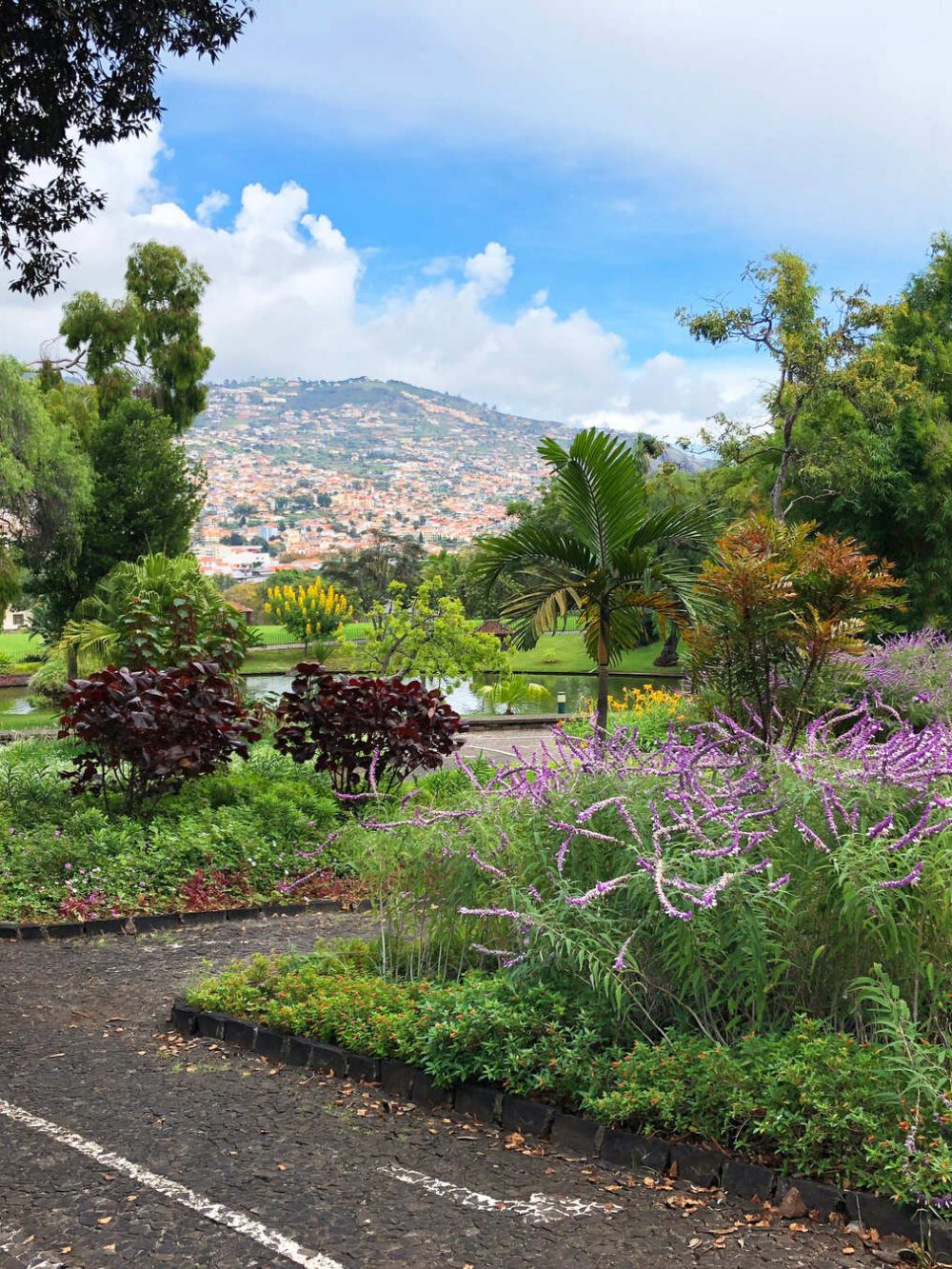 beautiful-garden-of-madeira-island-portugal-2021-08-26-16-31-39-utc
